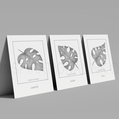 Silver Shadow - Wall Art Bundle (Digital 3 Pack)